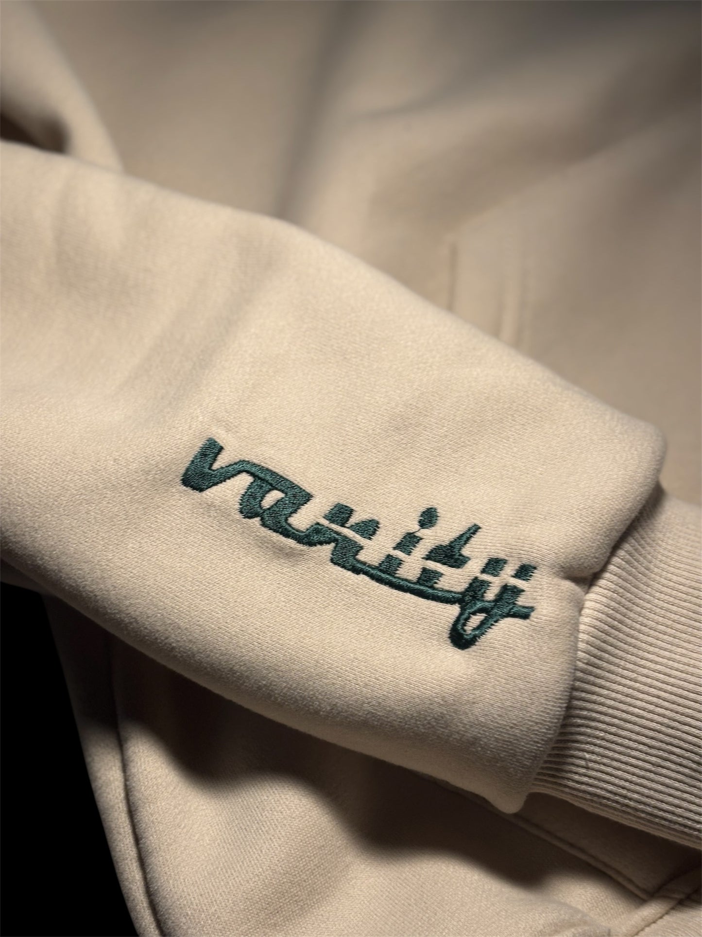 vanity embroidered hoodie